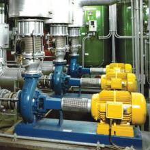 section 01 - صفحه اصلی